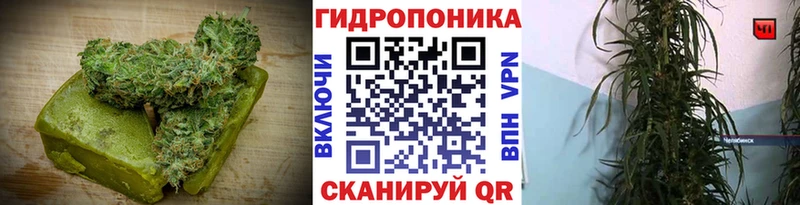 Cannafood конопля  Снежногорск 