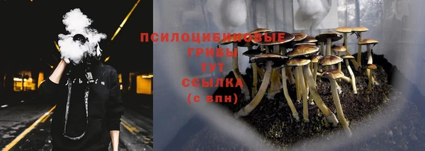 кристаллы Дмитров