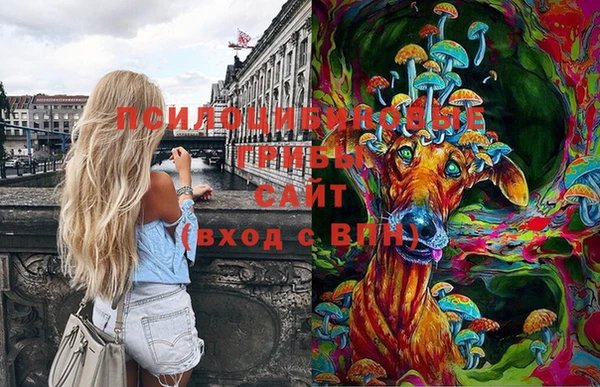 мяу мяу кристалл Дмитриев