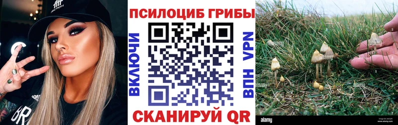 Псилоцибиновые грибы Psilocybe  закладки  Снежногорск 