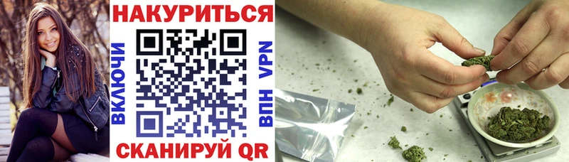 как найти закладки  Снежногорск  Бошки марихуана тримм 
